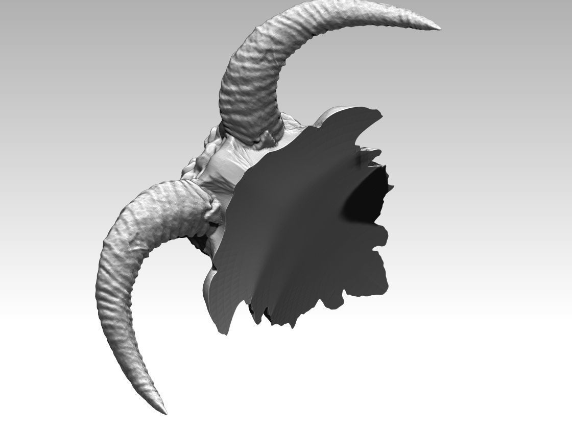 Ram Head  3D print model_3
