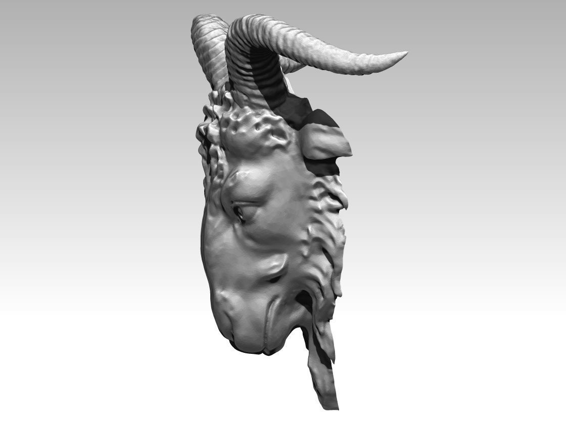 Ram Head  3D print model_2