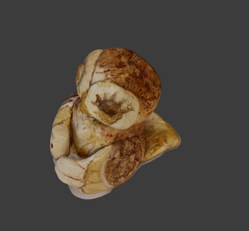 Cute owl handmade statue painted scanned toy to carry things 3D model_5