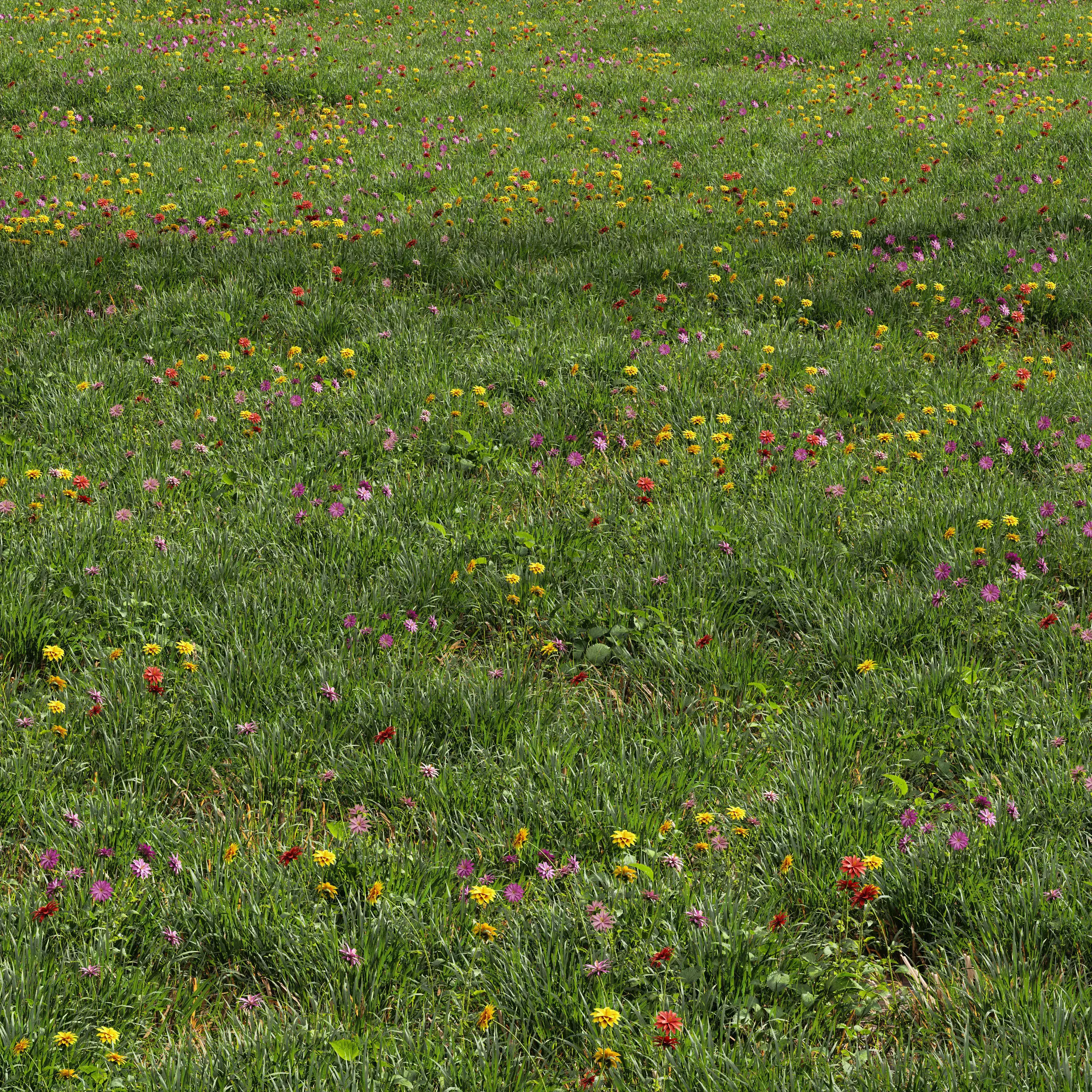 Meadow Lawn Grassland Set 012 3D model