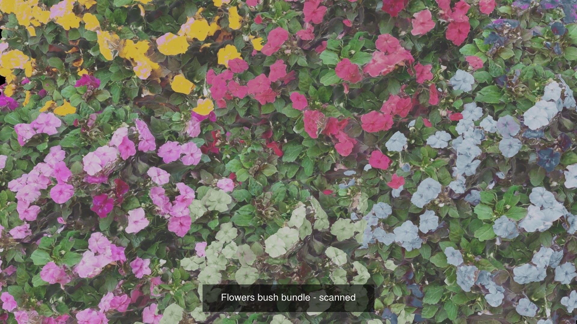 3D scanned Bundle SPECIAL OFFER 3D Model Collection_7