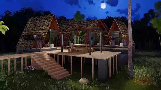 elevated triangular house