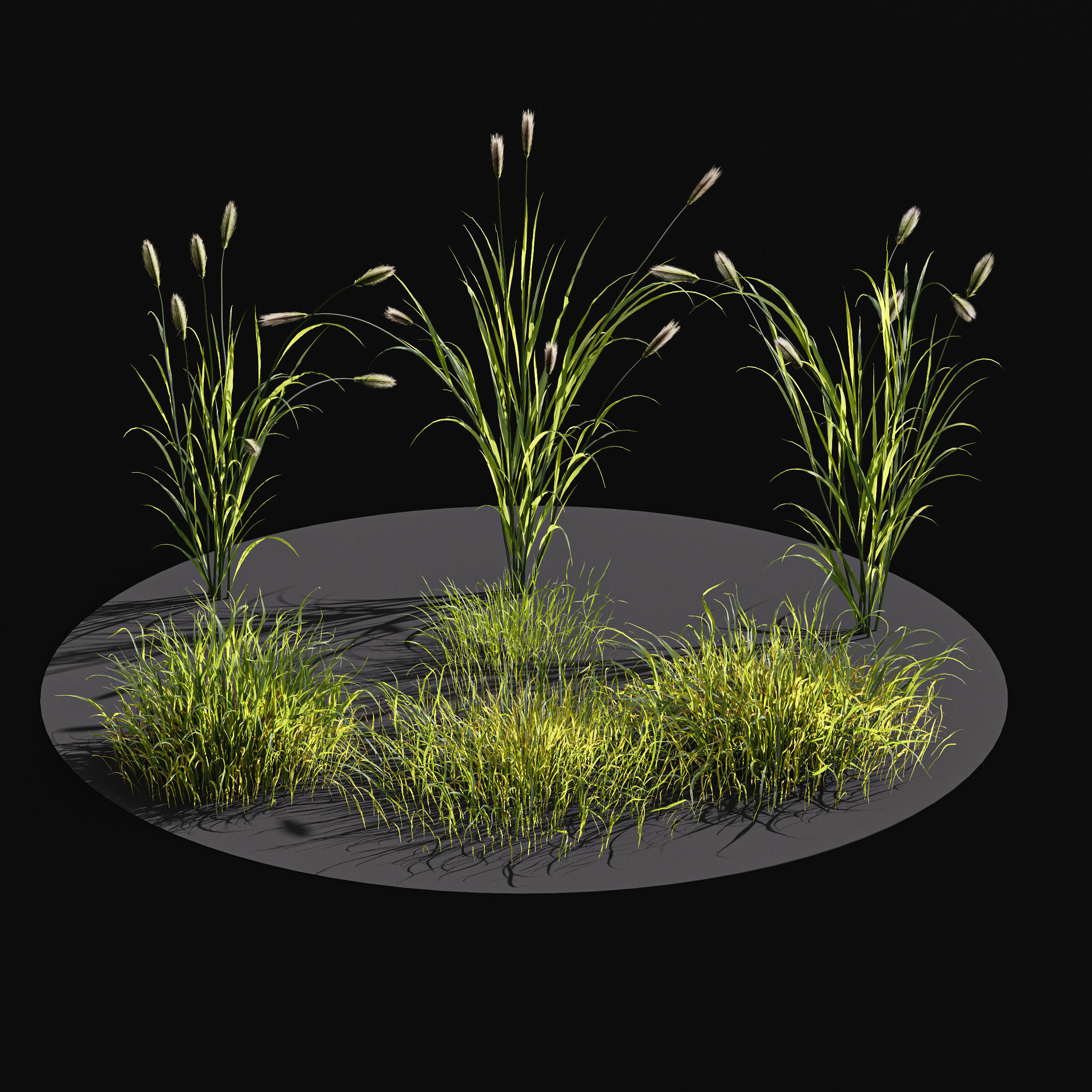 Meadow Lawn Grassland Set 010 3D model_2