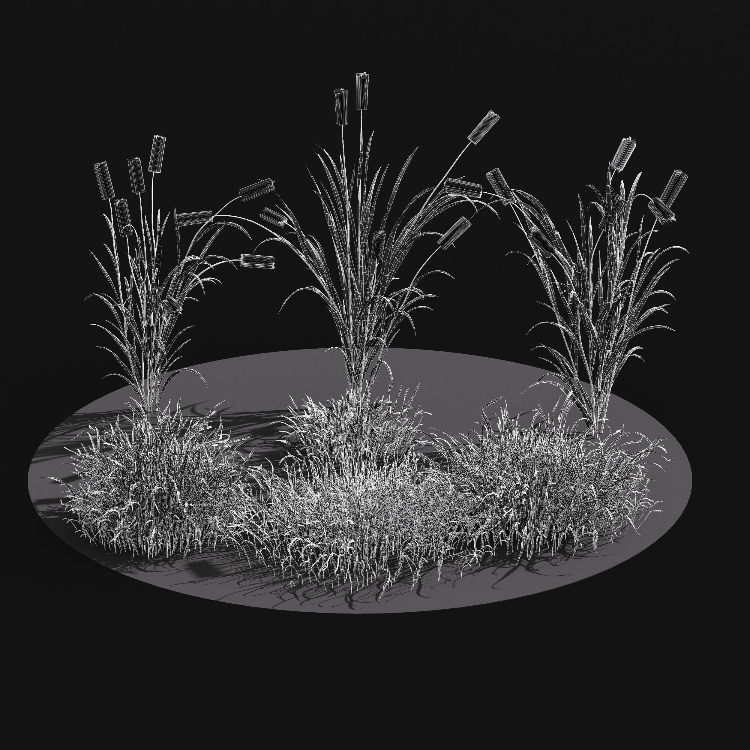 Meadow Lawn Grassland Set 010 3D model_3