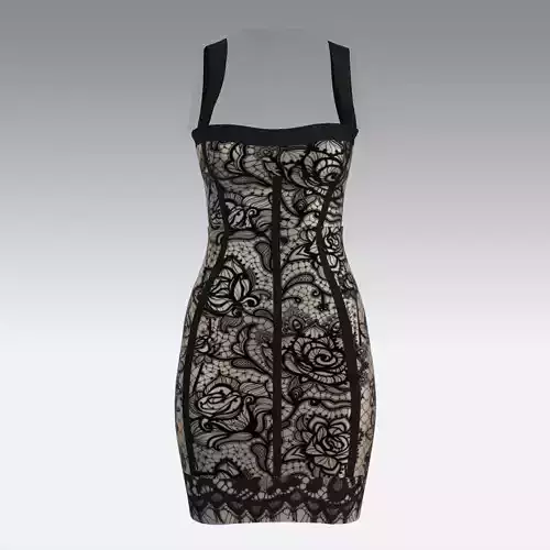 LACE DRESS CORSET LOOK STYLE