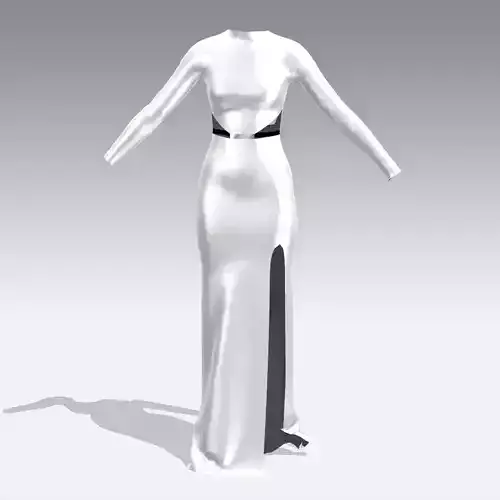 DRESS WHITE PANEL TRANSPARENT DRESS LONG DRESS 