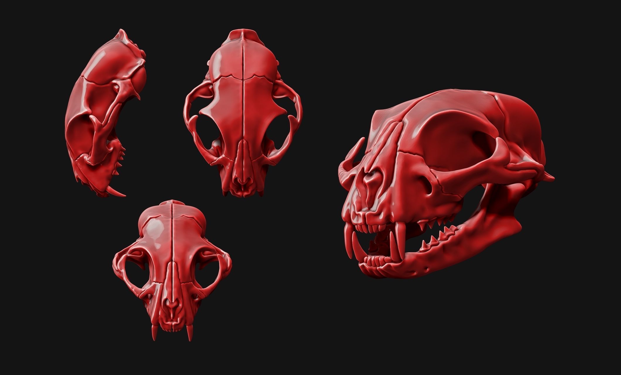 Cat Skull - CNC and 3D print model_8