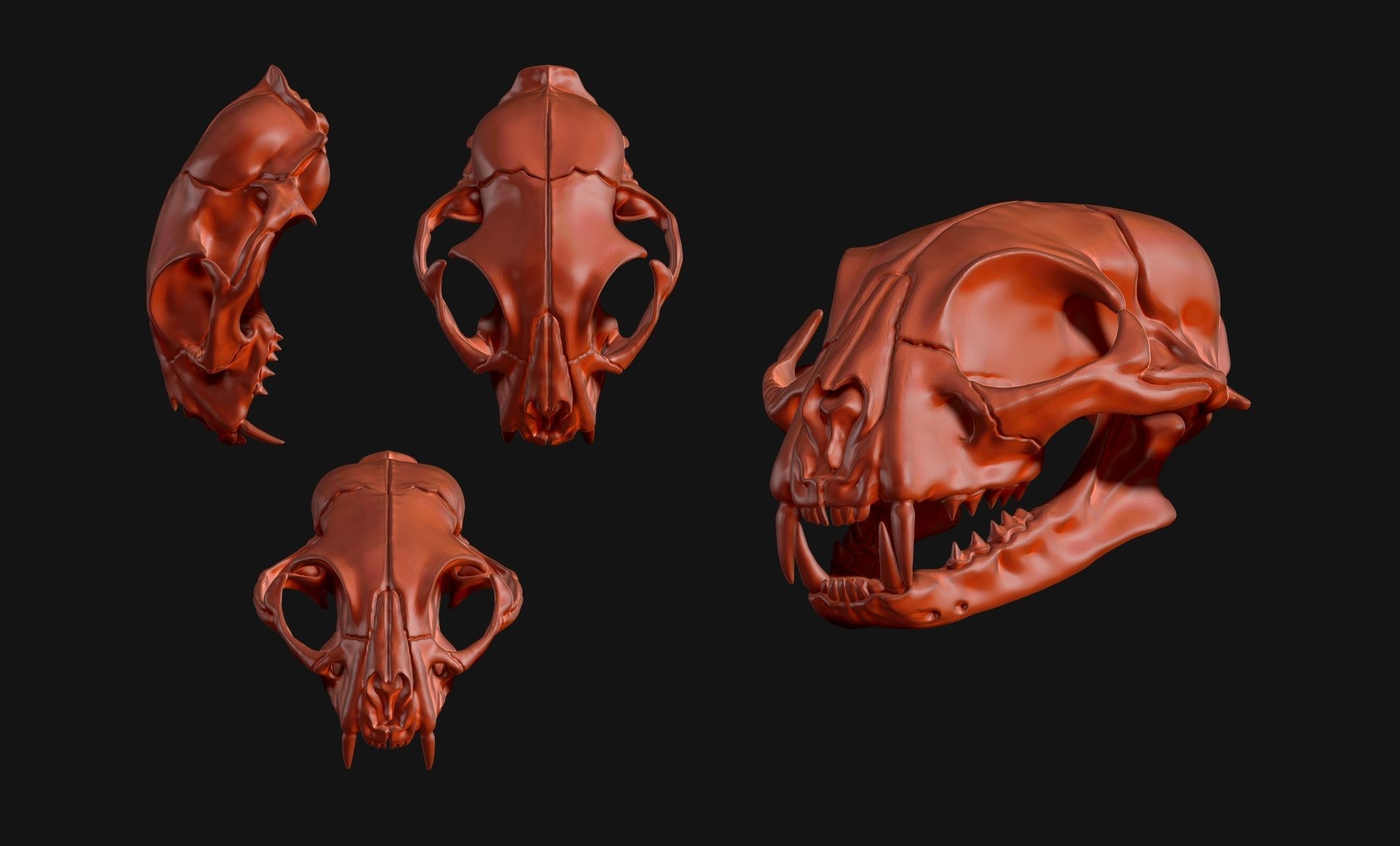Cat Skull - CNC and 3D print model_14
