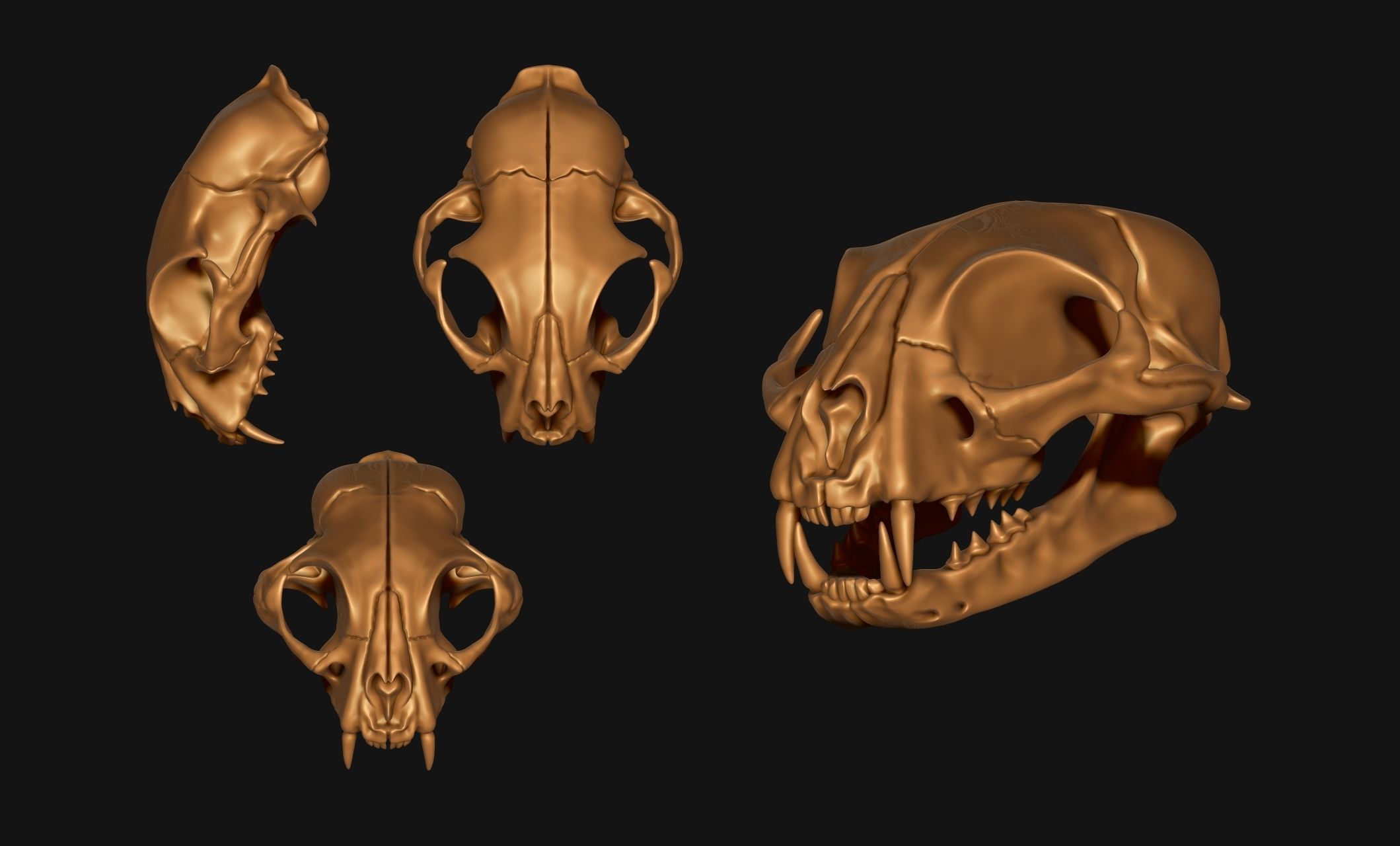 Cat Skull - CNC and 3D print model_18