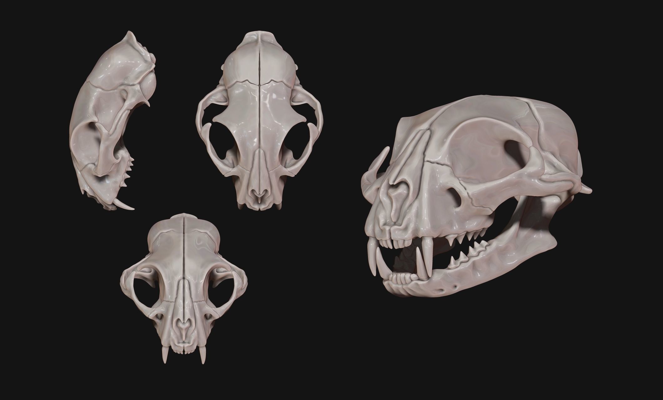 Cat Skull - CNC and 3D print model_4
