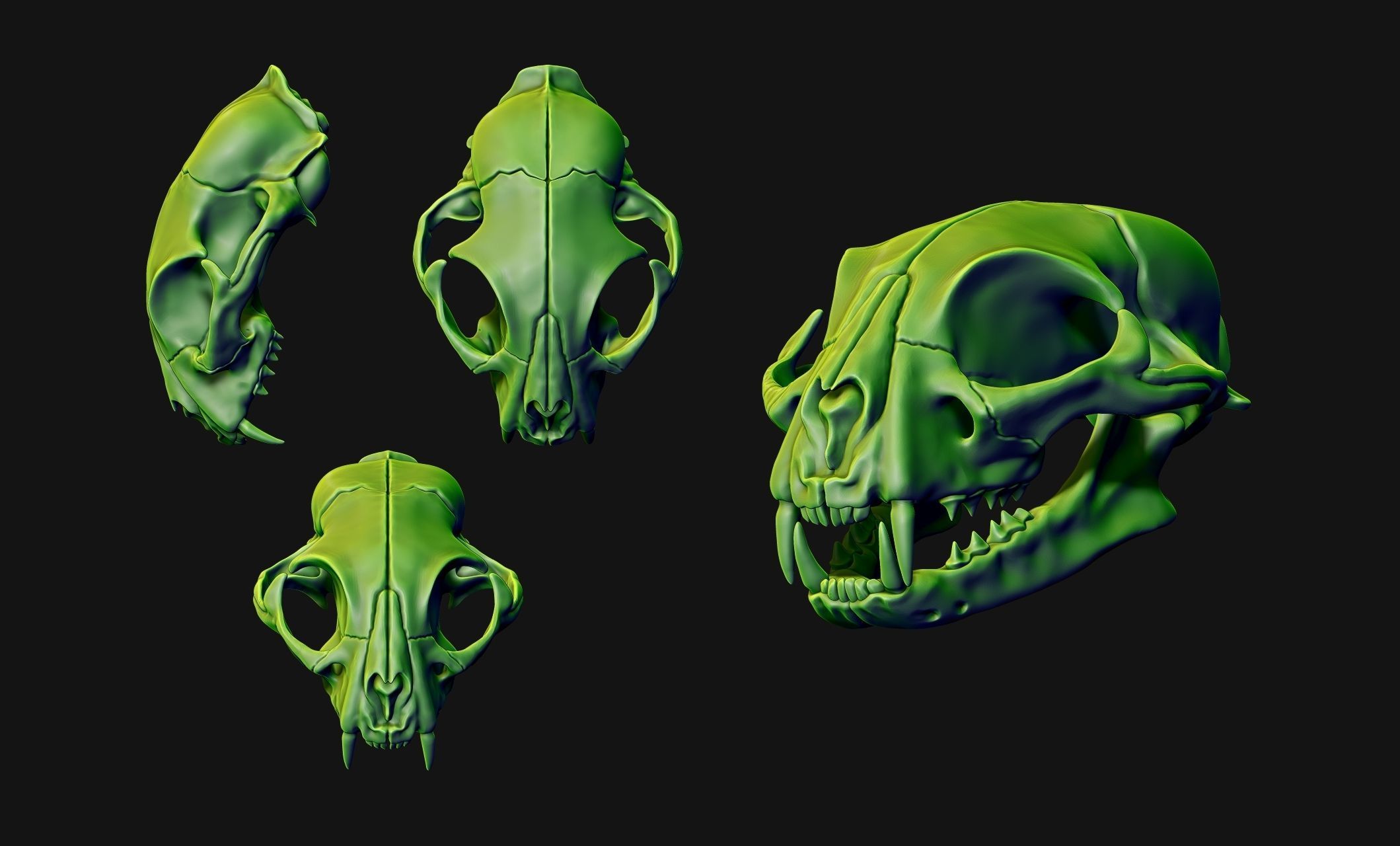 Cat Skull - CNC and 3D print model_13