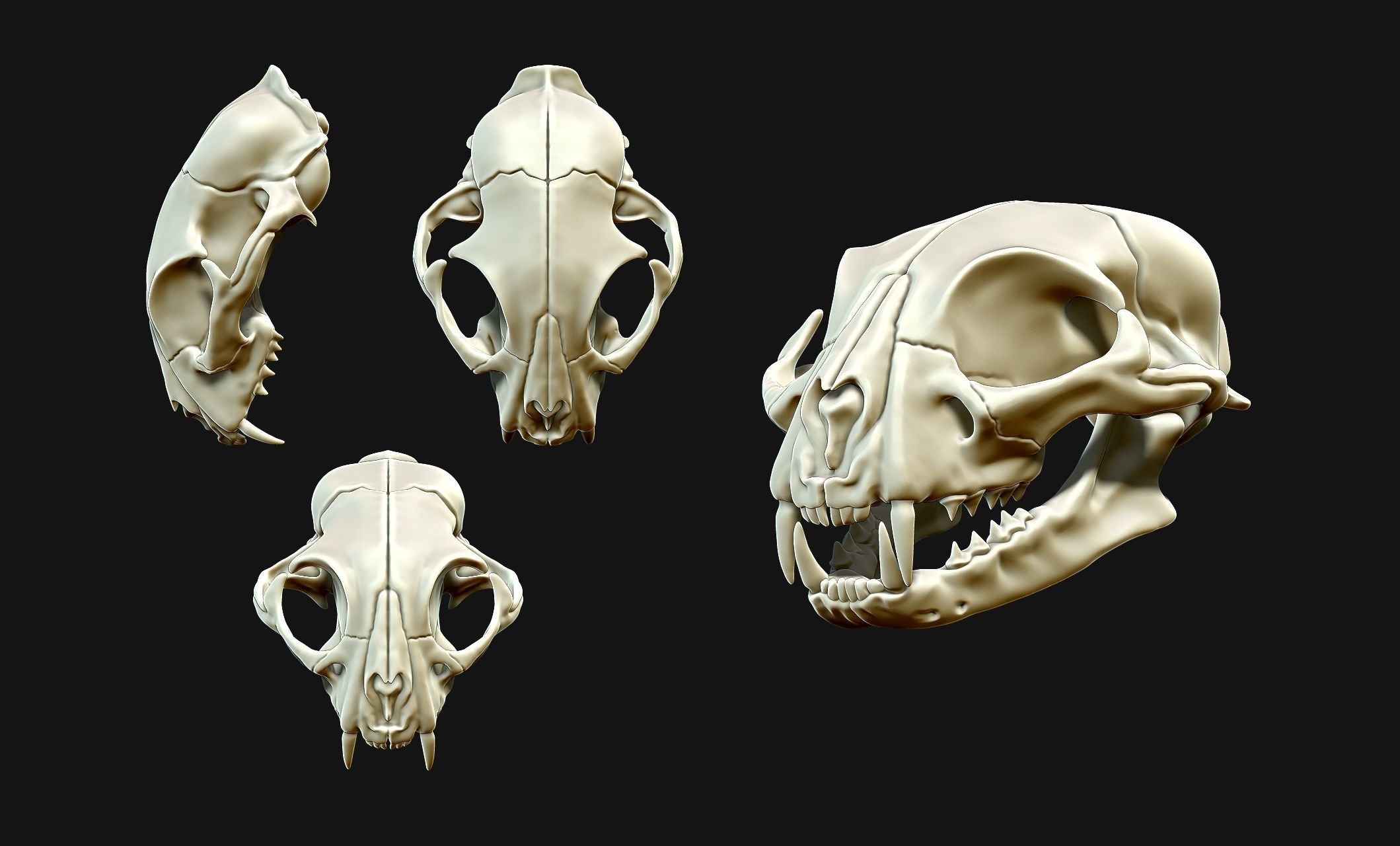 Cat Skull - CNC and 3D print model_21