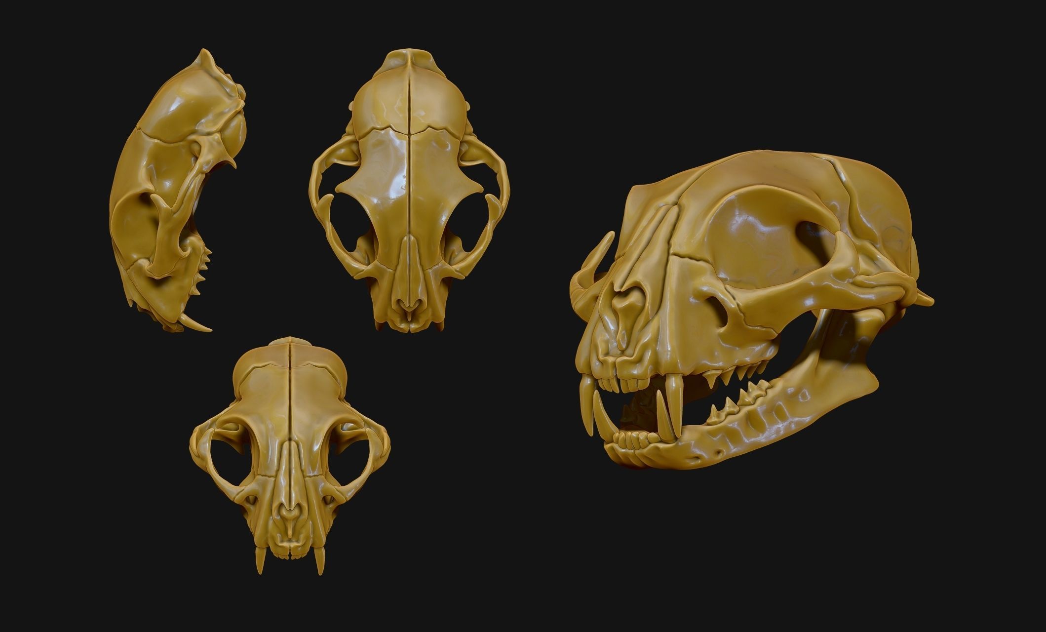 Cat Skull - CNC and 3D print model_9