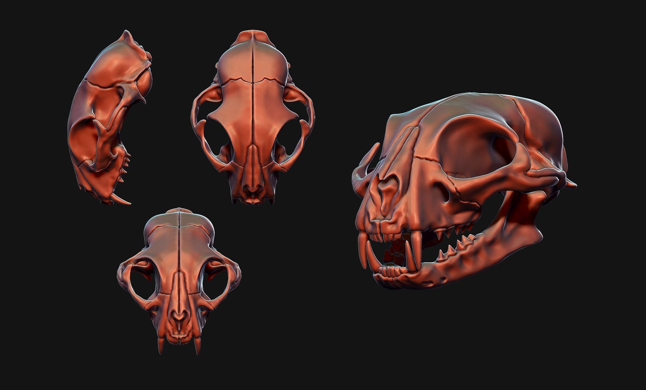 Cat Skull - CNC and 3D print model_17
