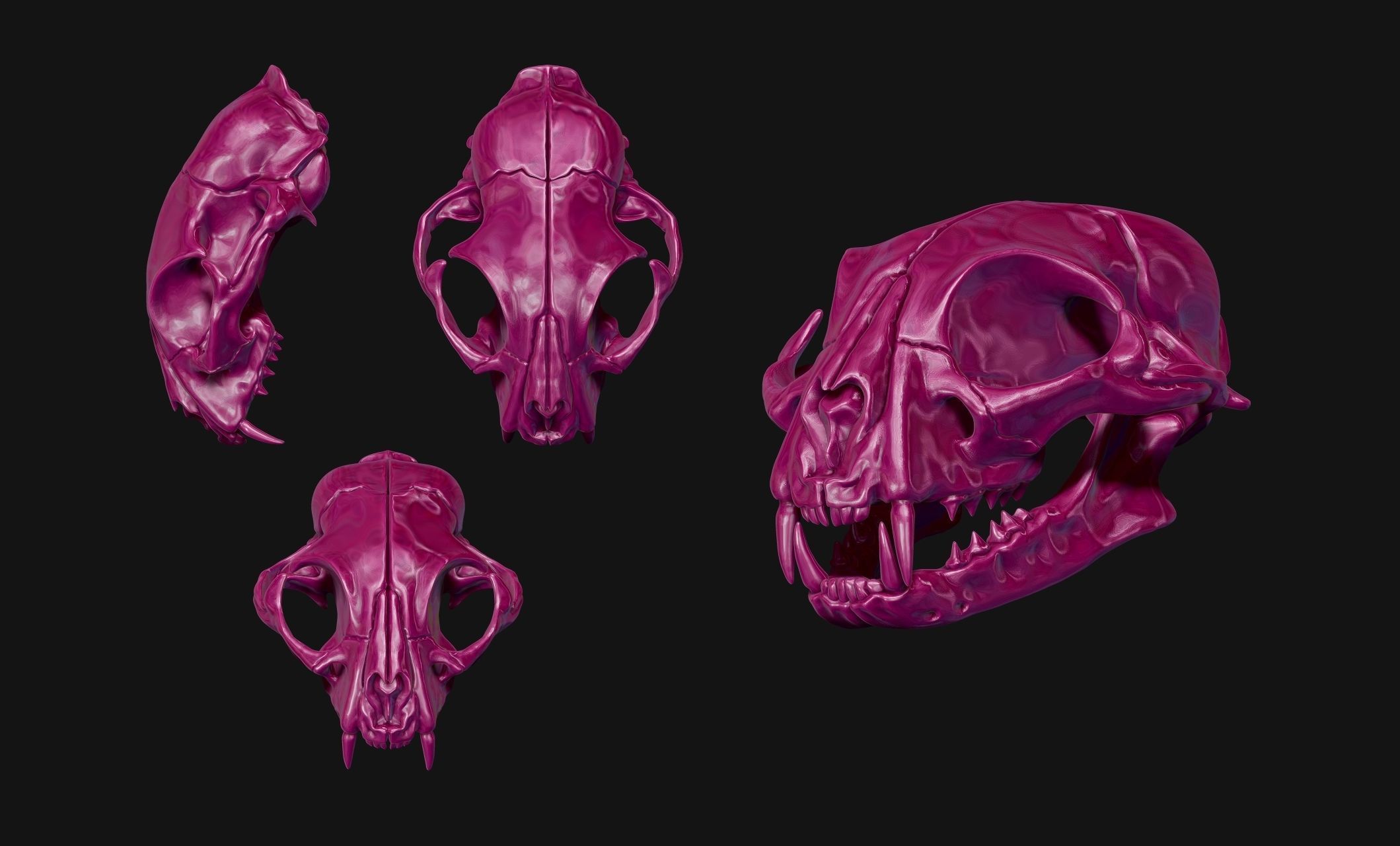 Cat Skull - CNC and 3D print model_20