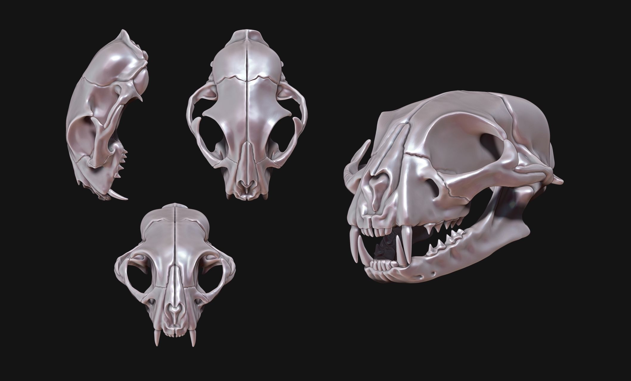 Cat Skull - CNC and 3D print model_12