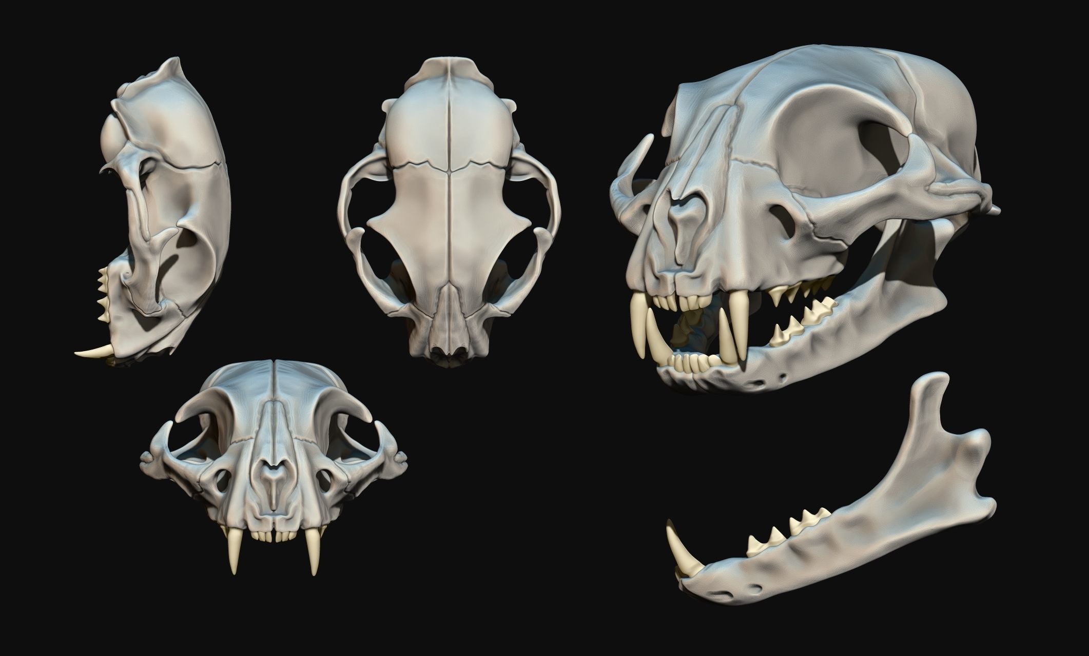 Cat Skull - CNC and 3D print model_3