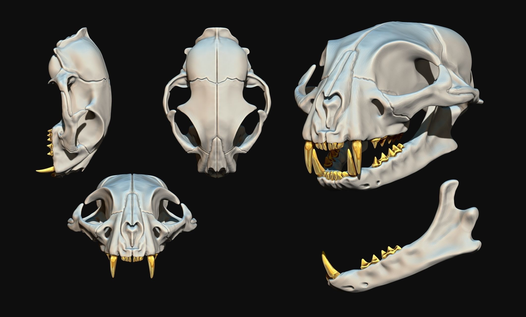 Cat Skull - CNC and 3D print model_2