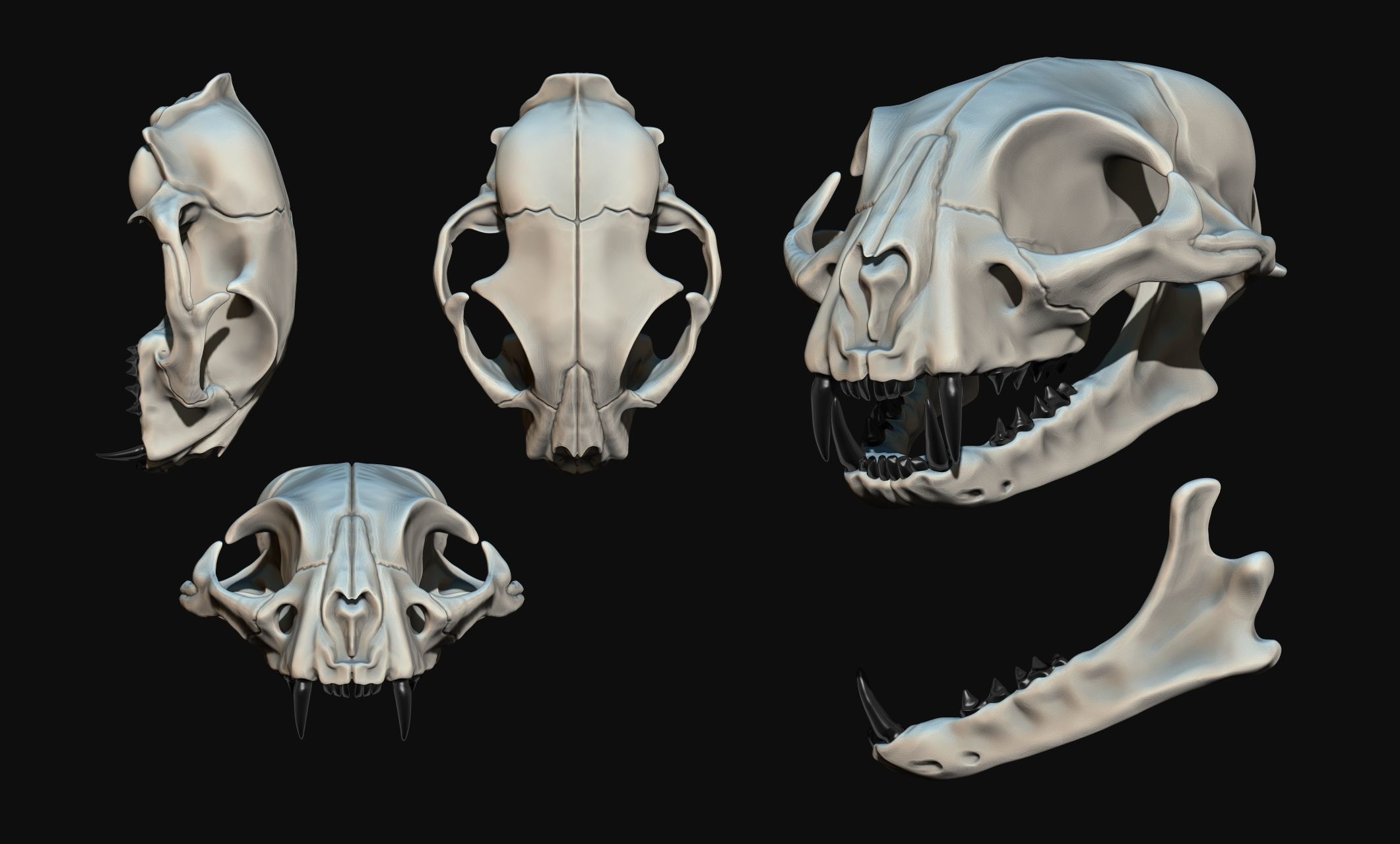 Cat Skull - CNC and 3D print model_1
