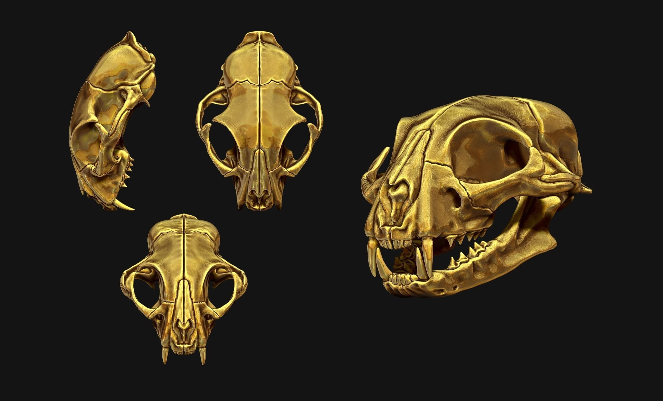 Cat Skull - CNC and 3D print model_7