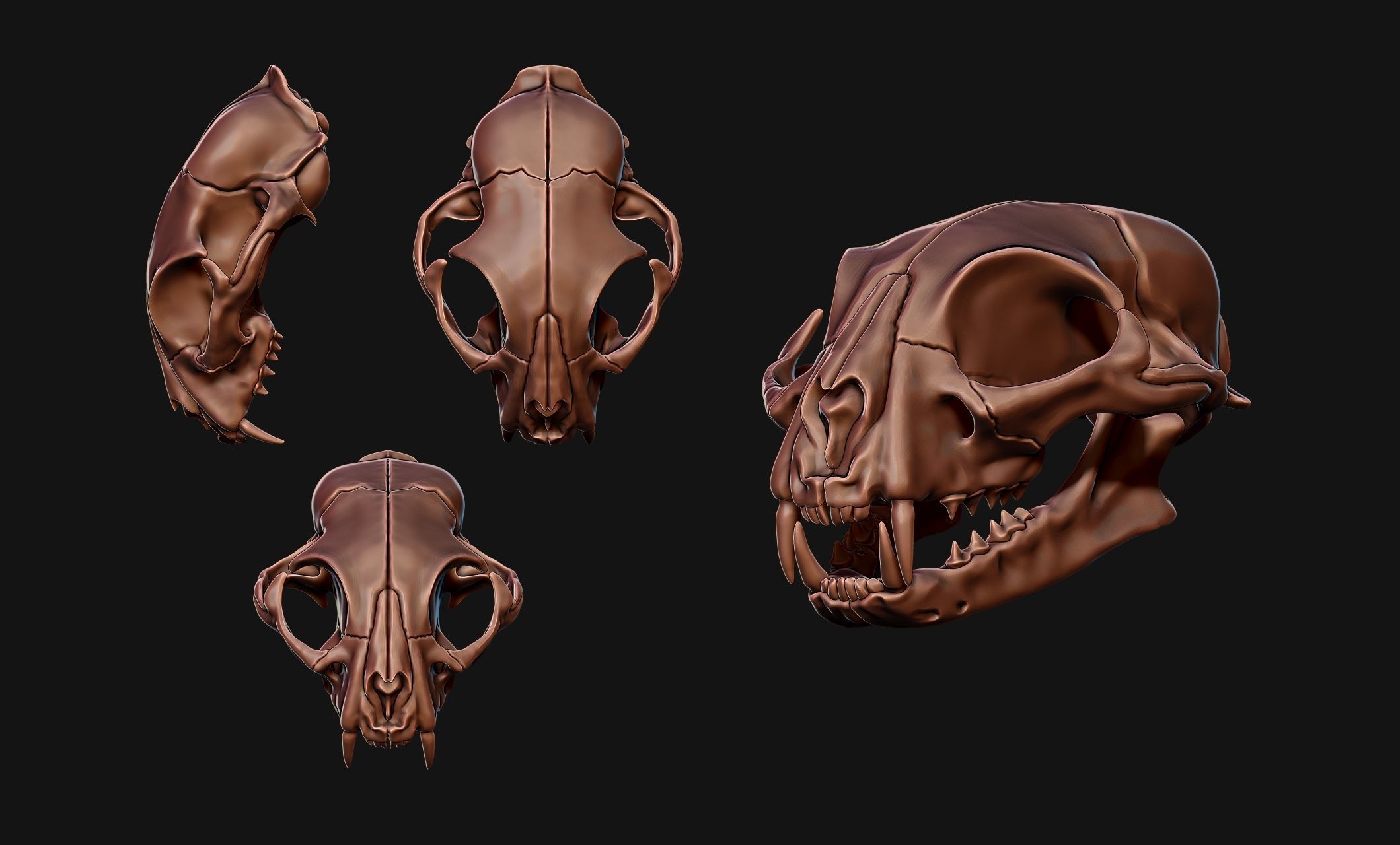 Cat Skull - CNC and 3D print model_23