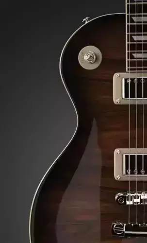 Gibson Les Paul Custom