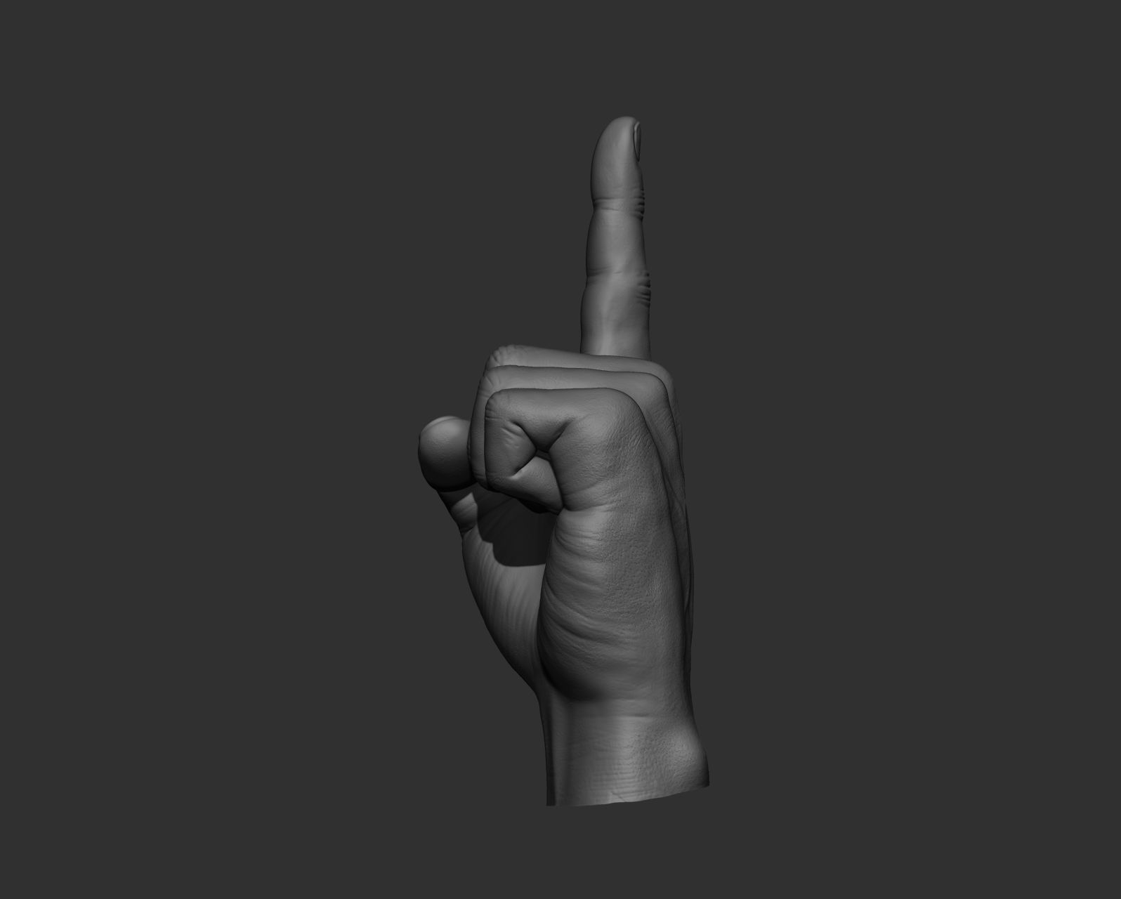 5 Male hands 3D model_5