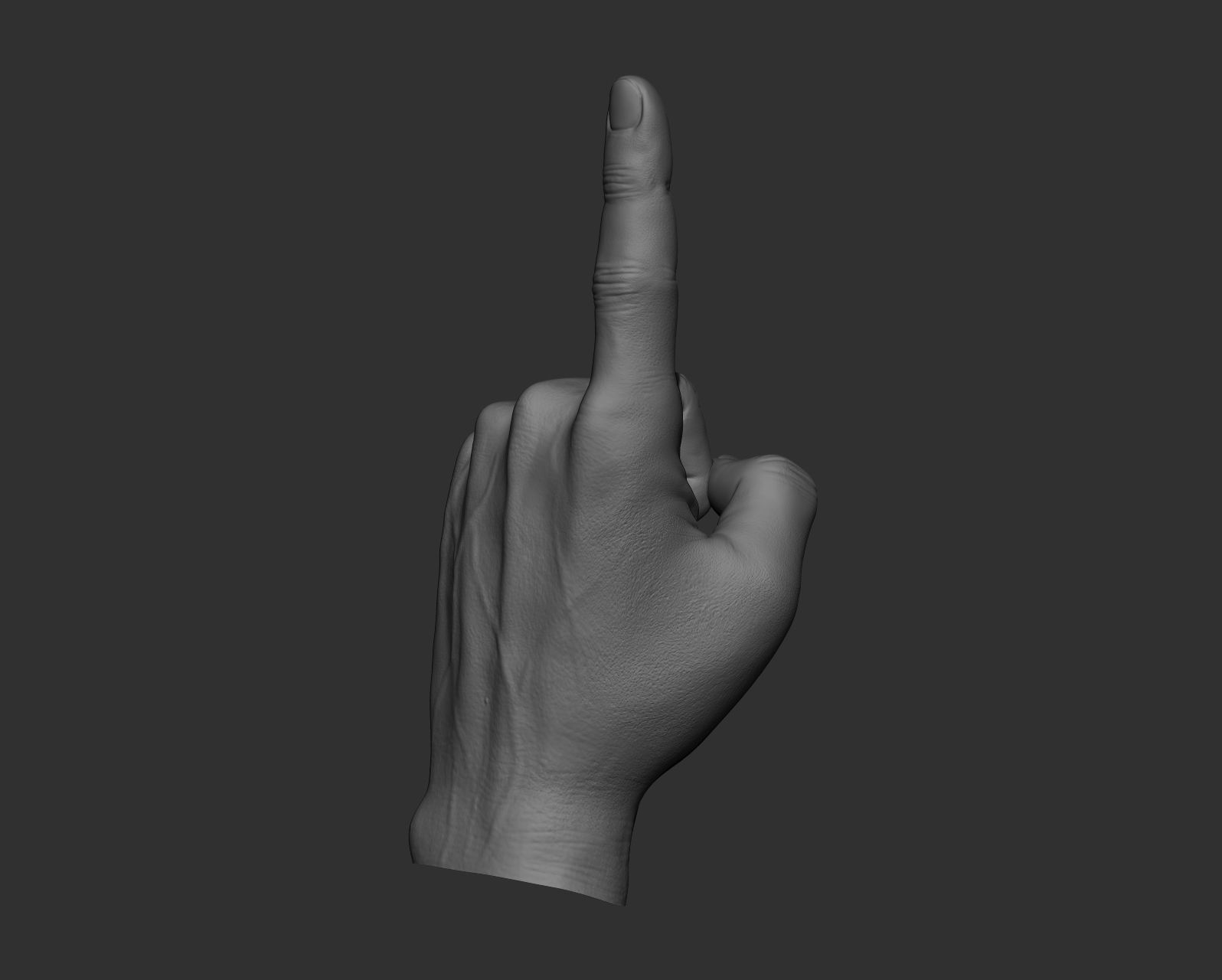 5 Male hands 3D model_6