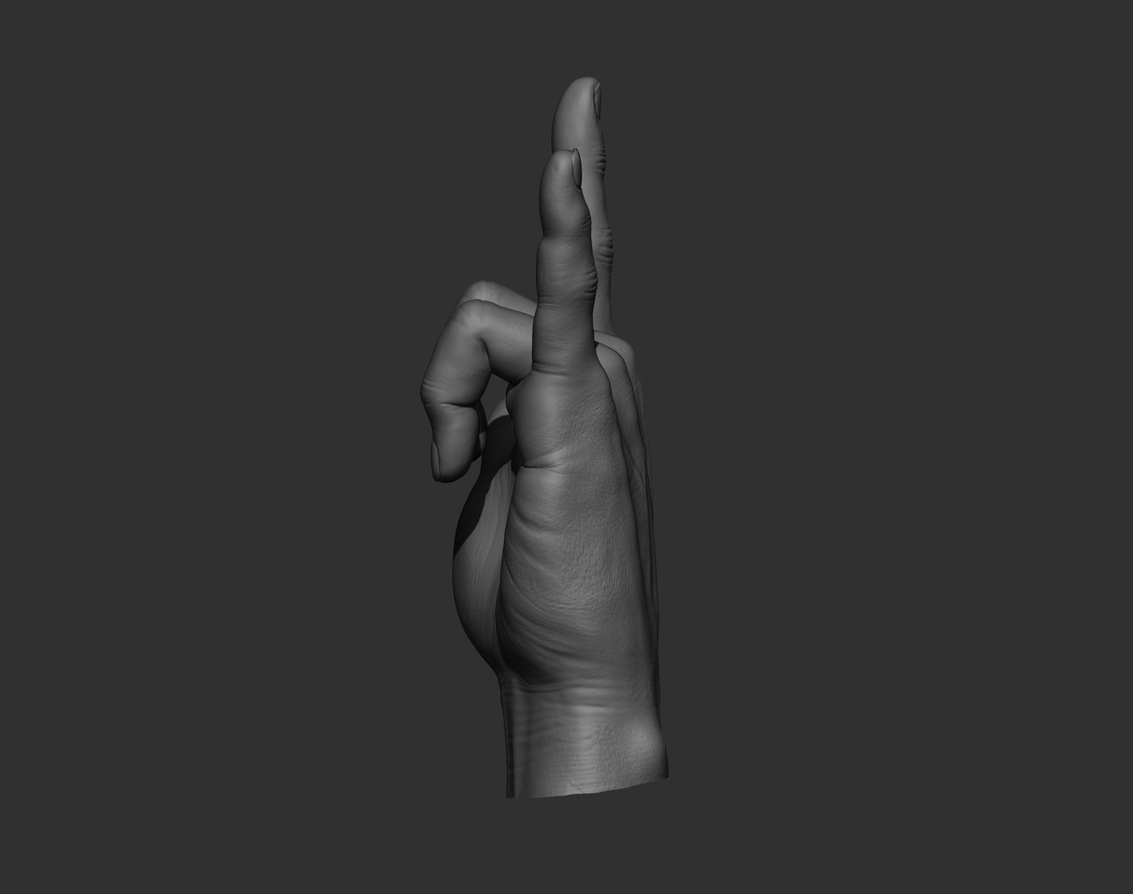 5 Male hands 3D model_17