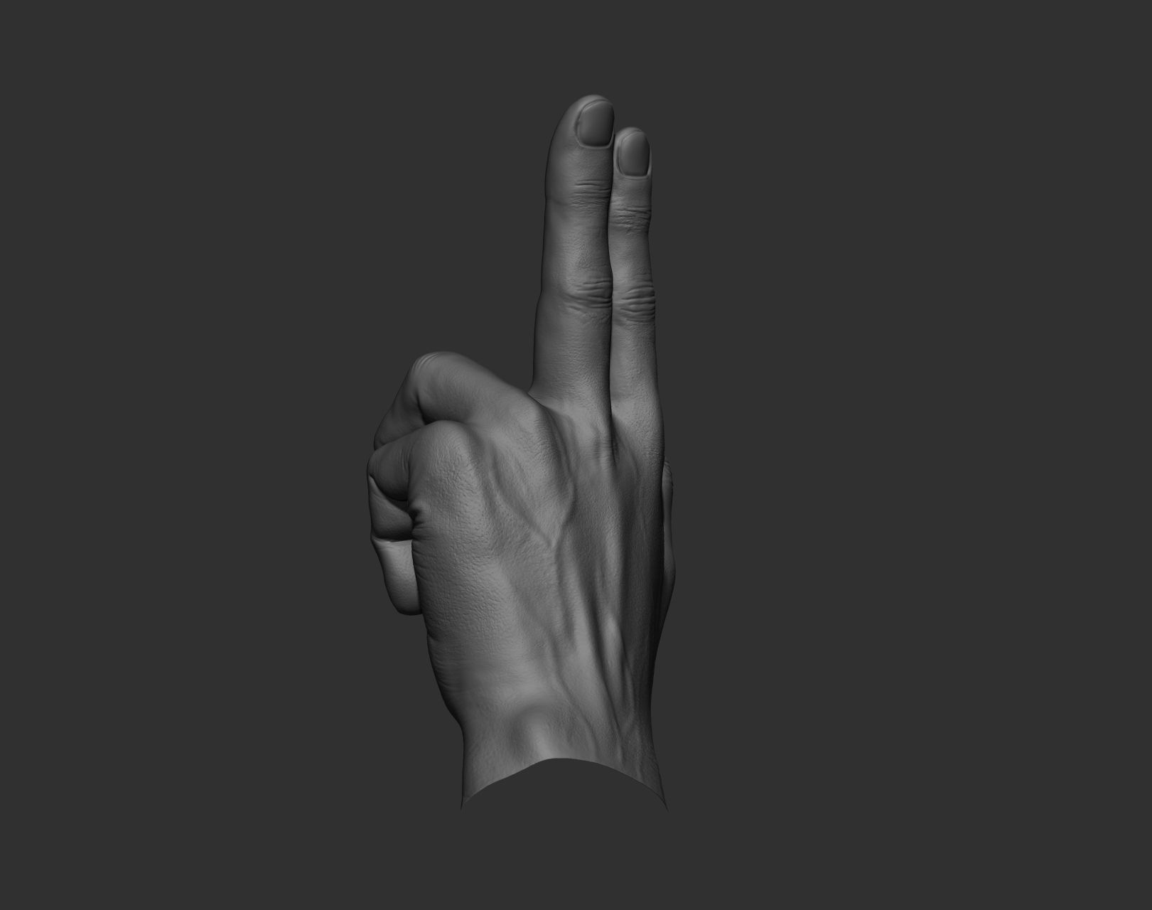 5 Male hands 3D model_26
