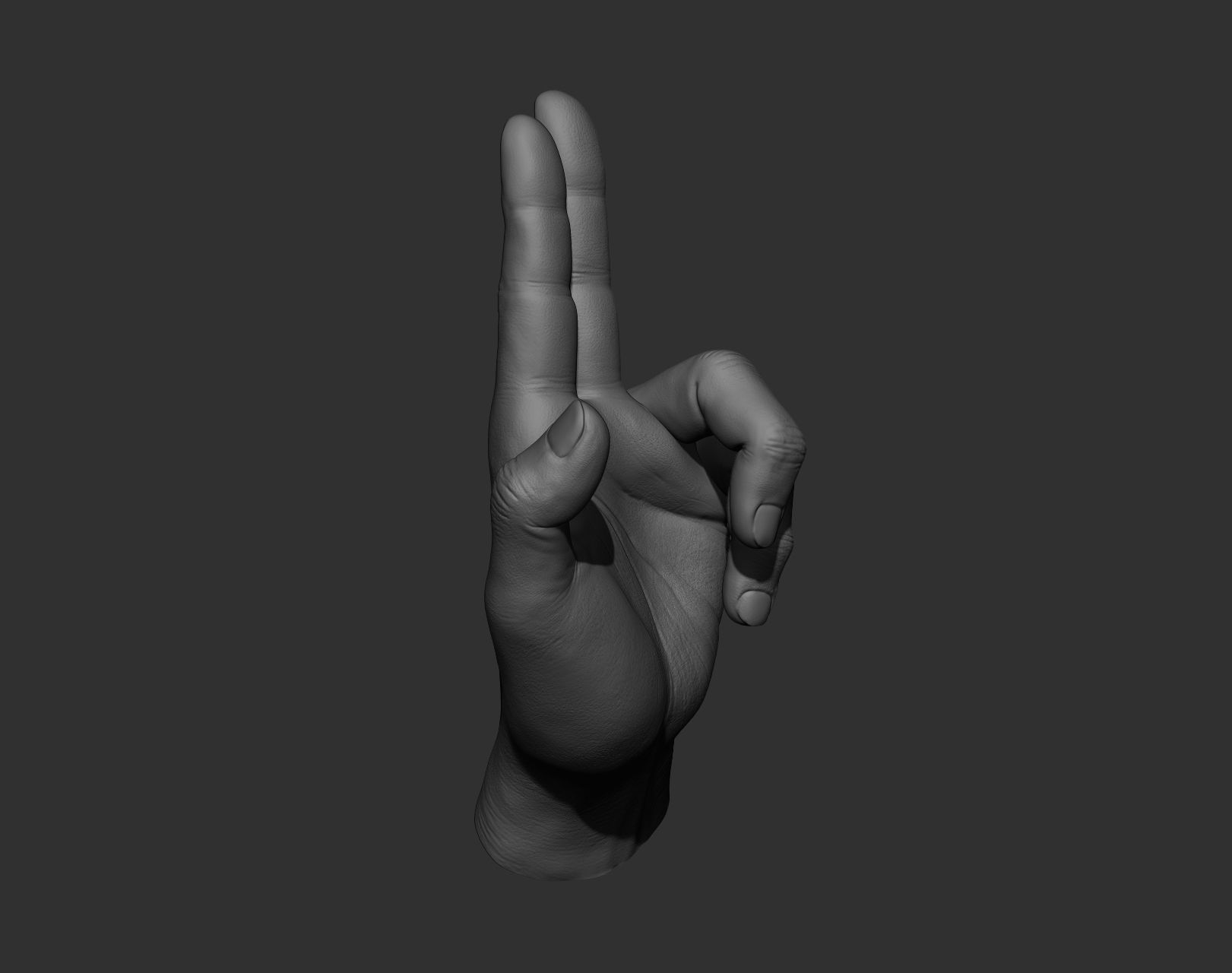 5 Male hands 3D model_29