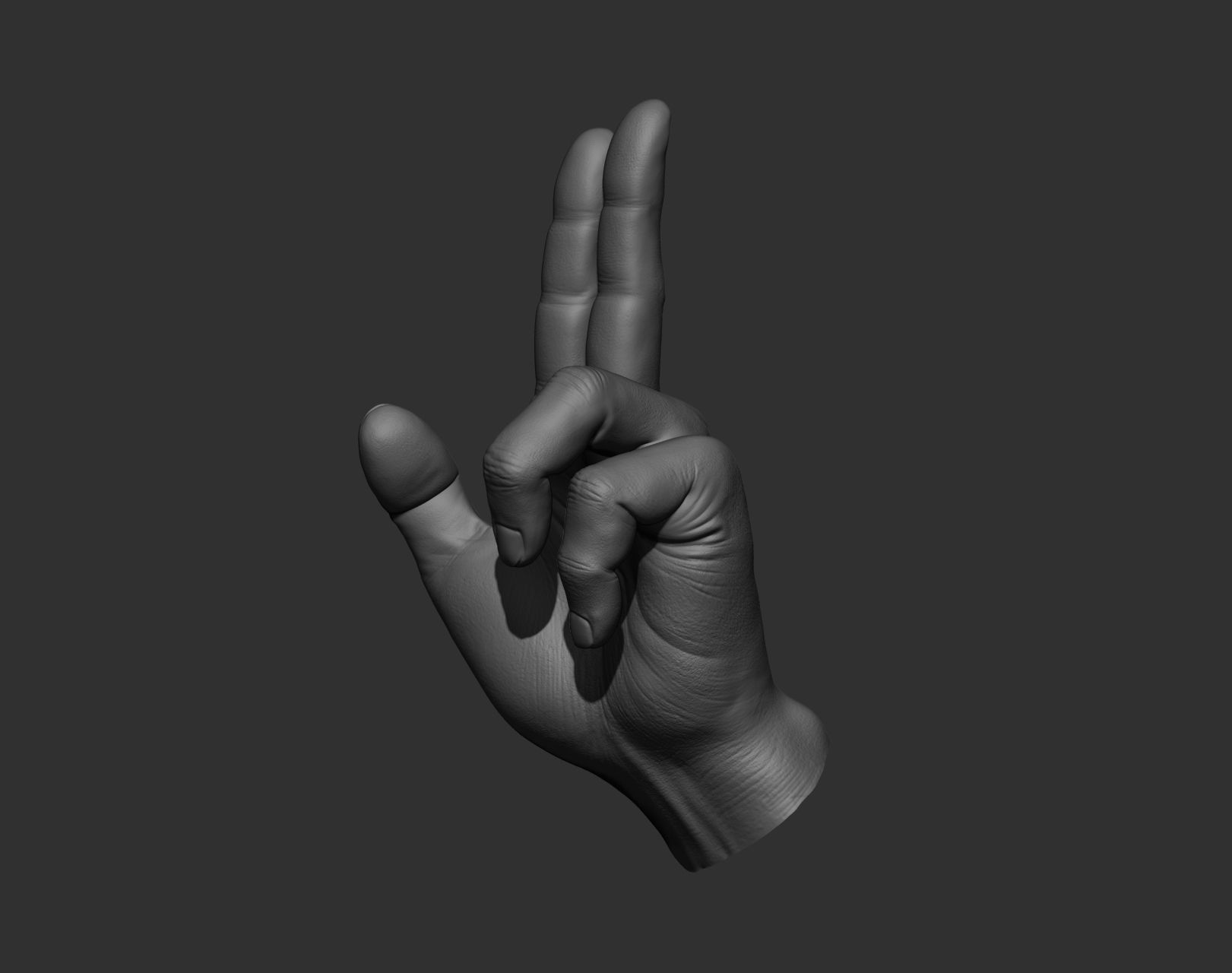 5 Male hands 3D model_24