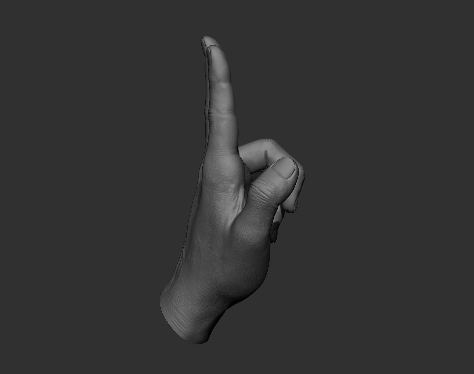 5 Male hands 3D model_28