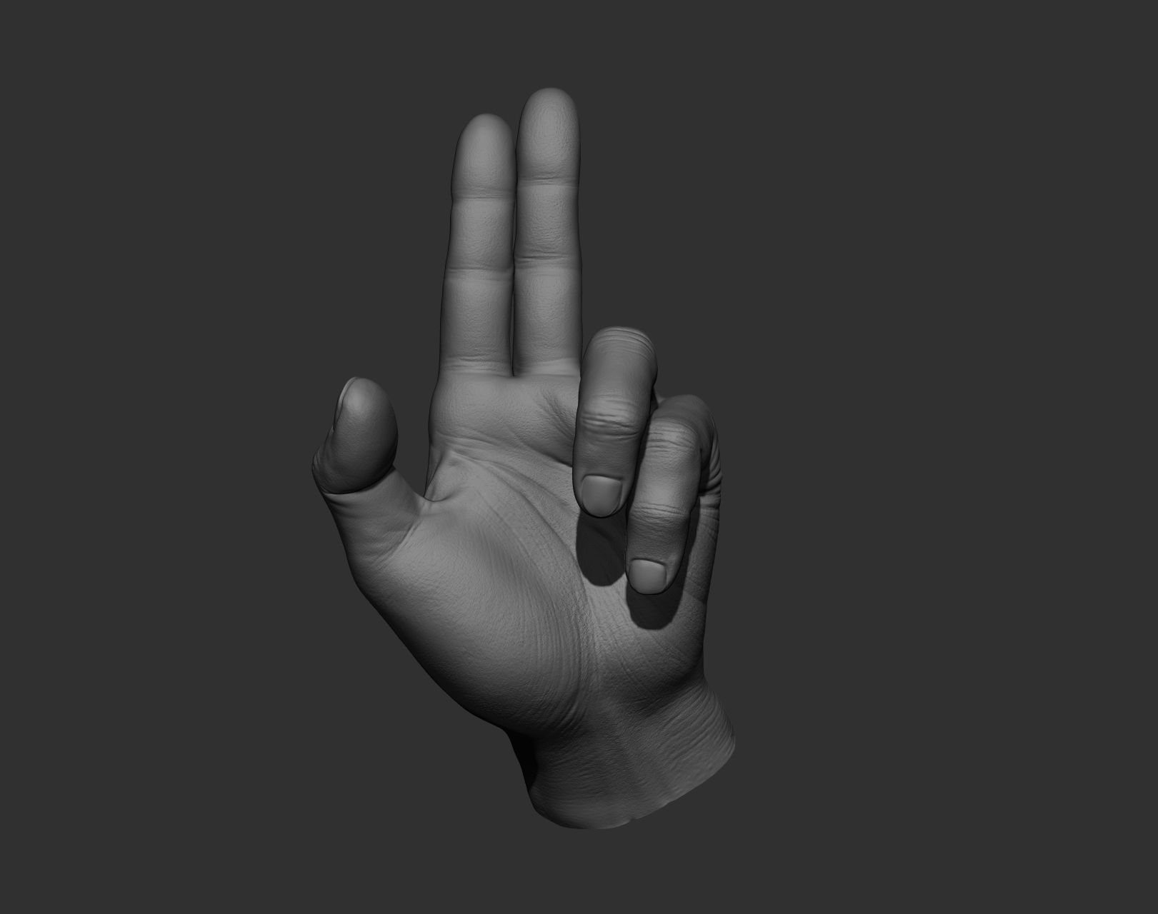 5 Male hands 3D model_23