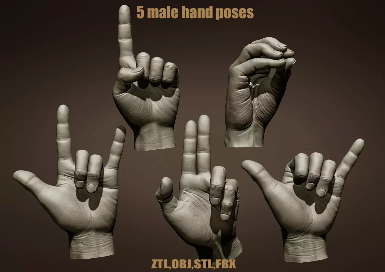 5 Male hands 3D model_0