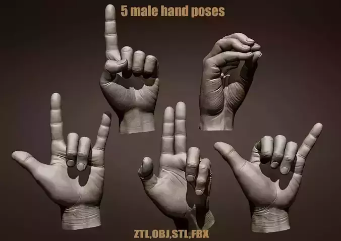 5 Male hands 3D model