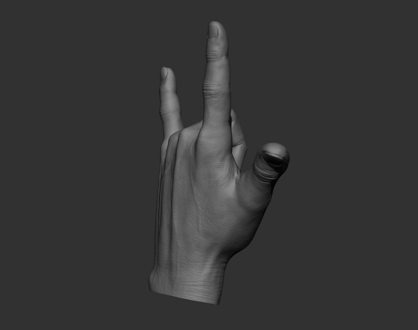 5 Male hands 3D model_20