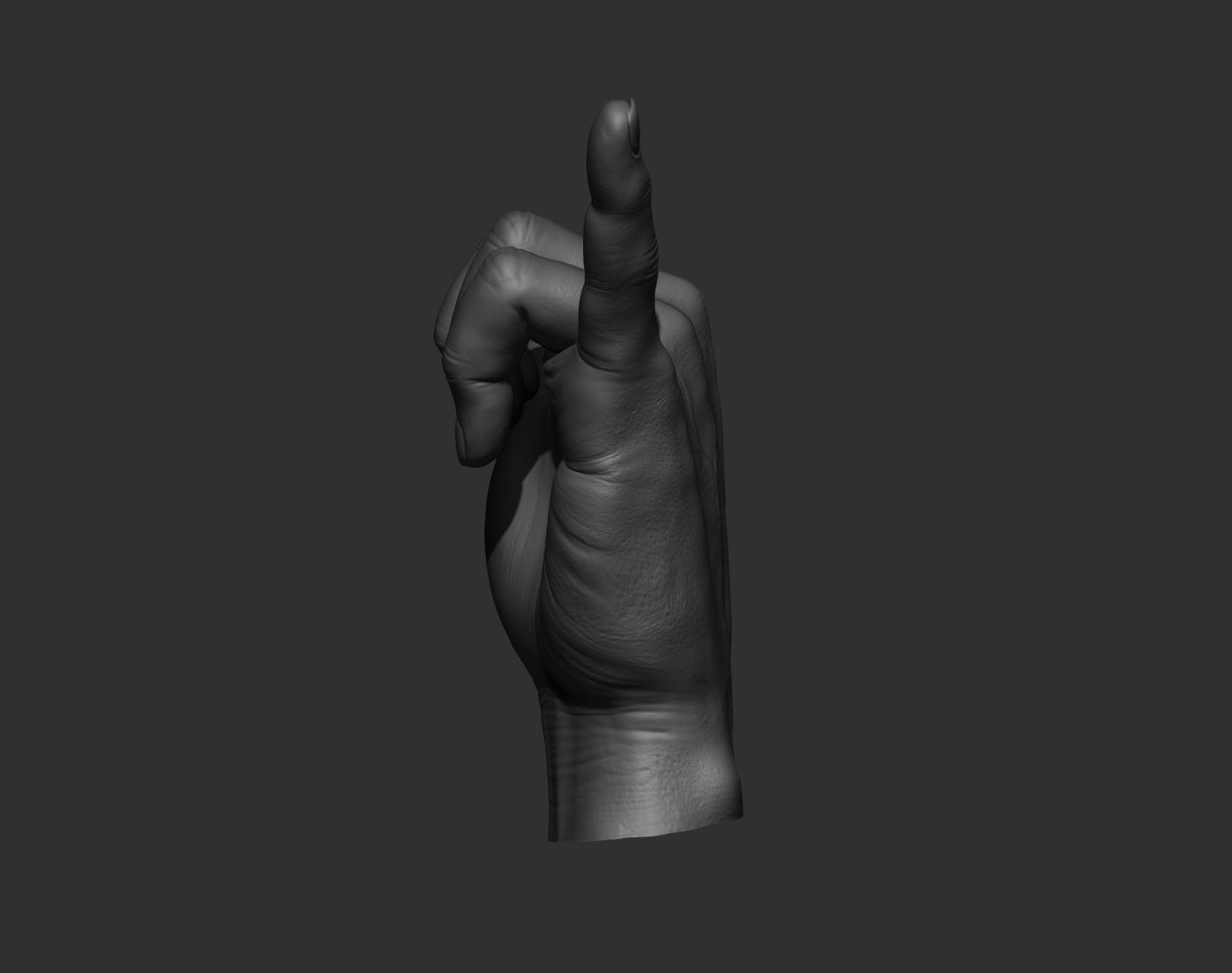 5 Male hands 3D model_32