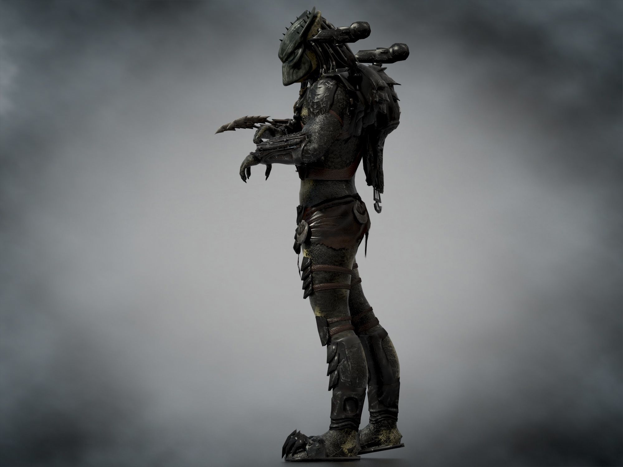 Predator Wolf Low-poly 3D model_8