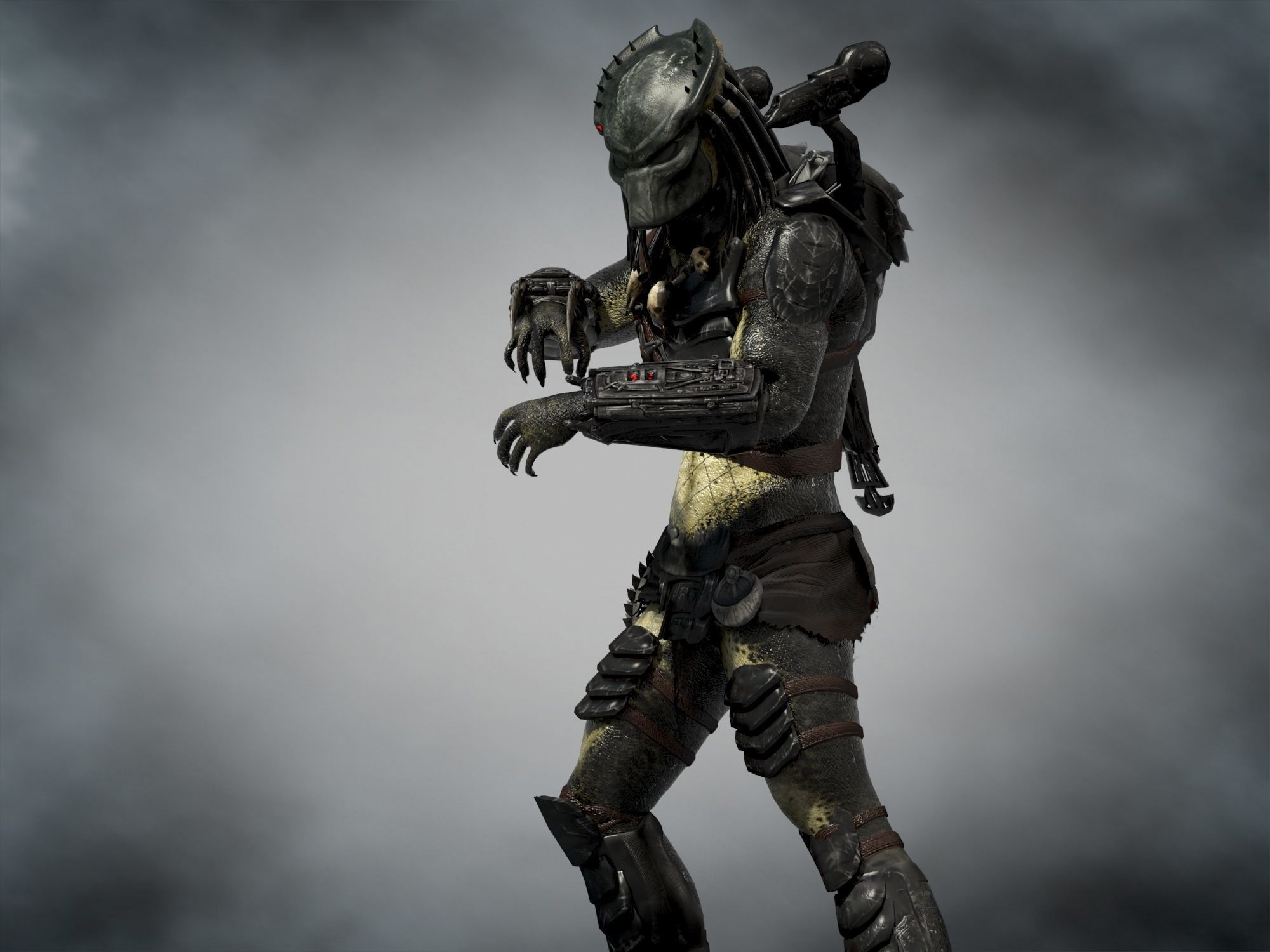 Predator Wolf Low-poly 3D model_5