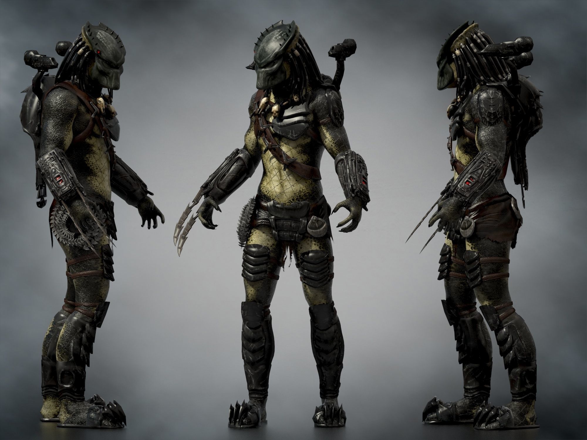 Predator Wolf Low-poly 3D model_7