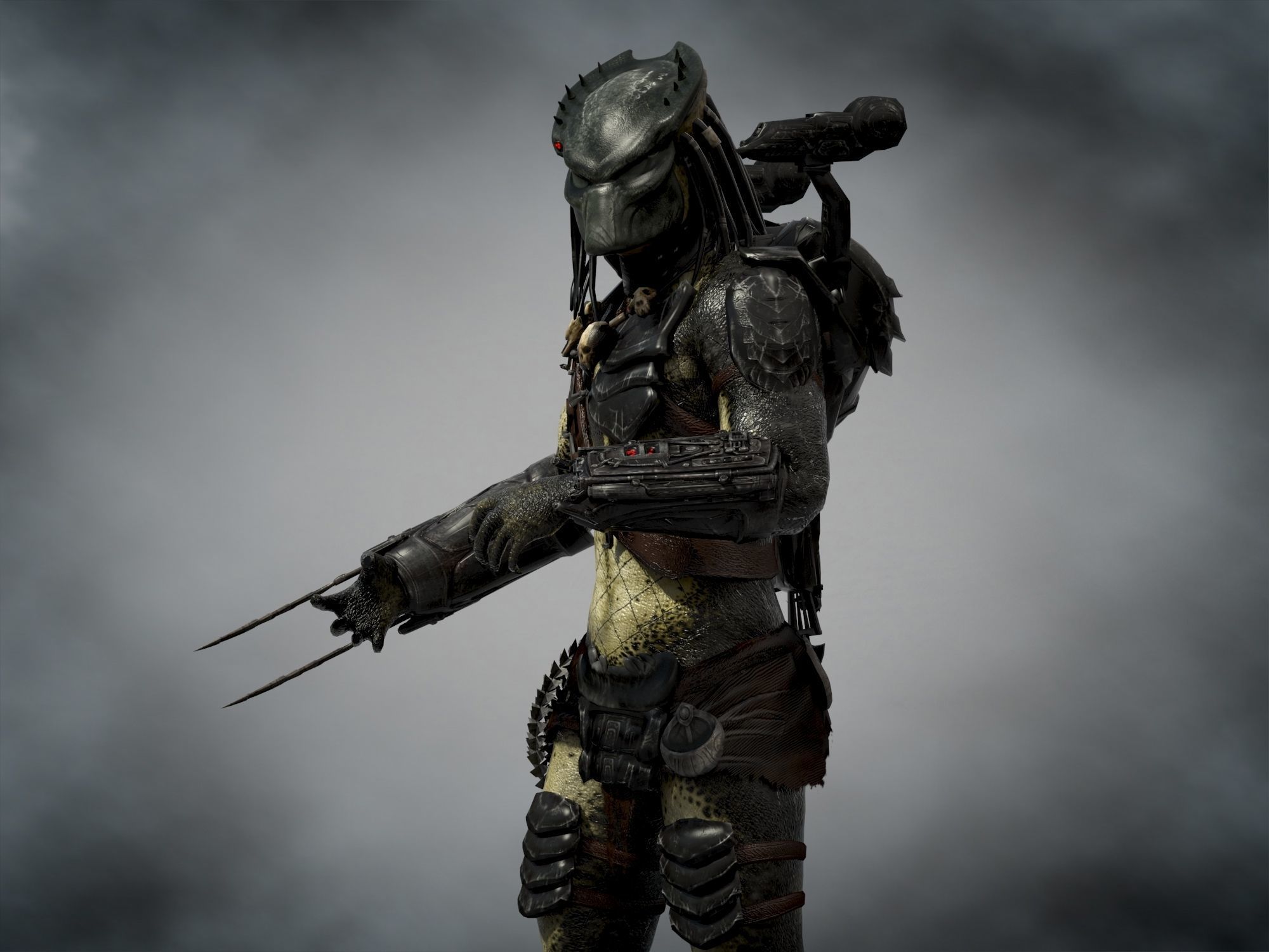 Predator Wolf Low-poly 3D model_6