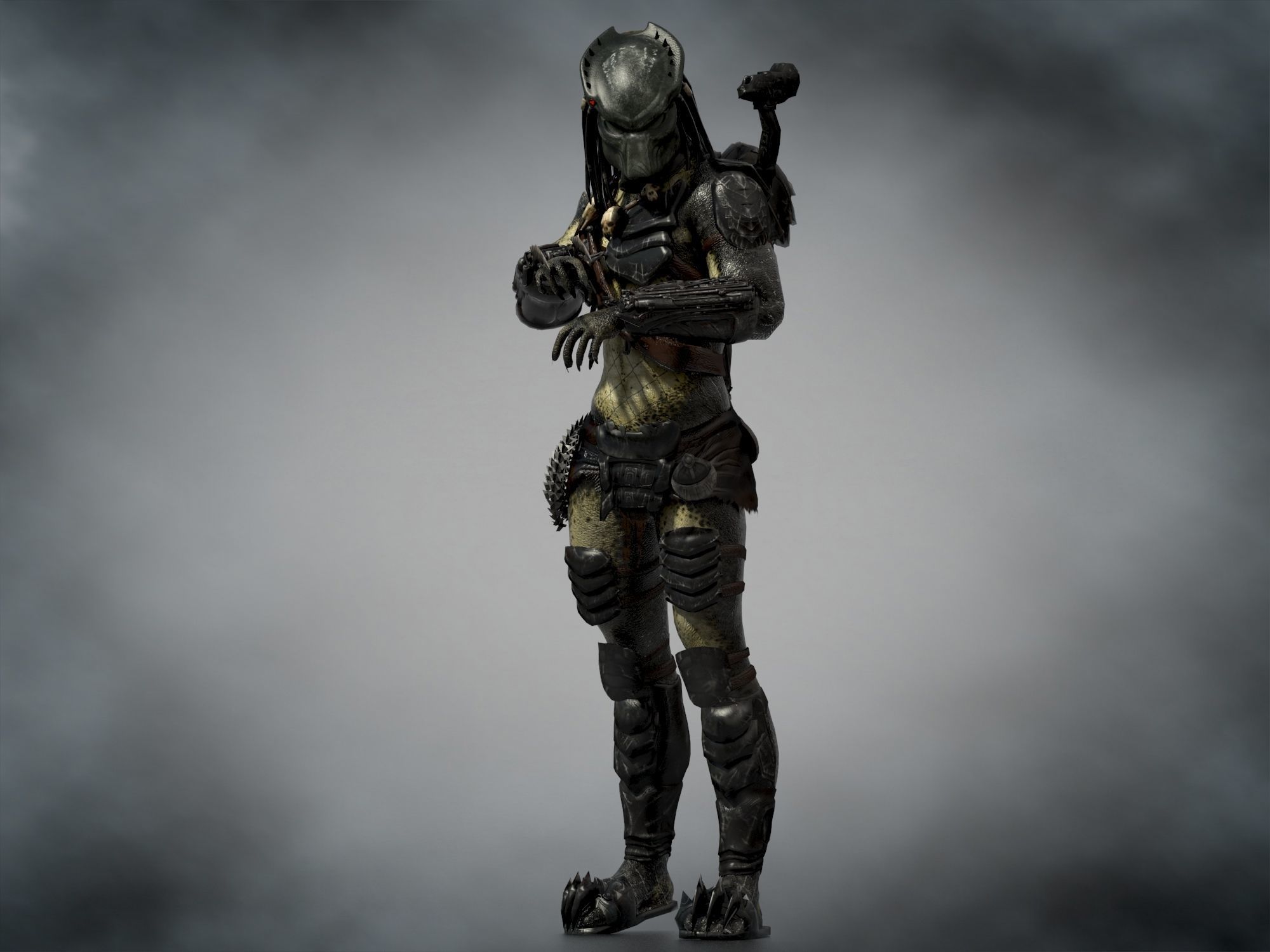 Predator Wolf Low-poly 3D model_3