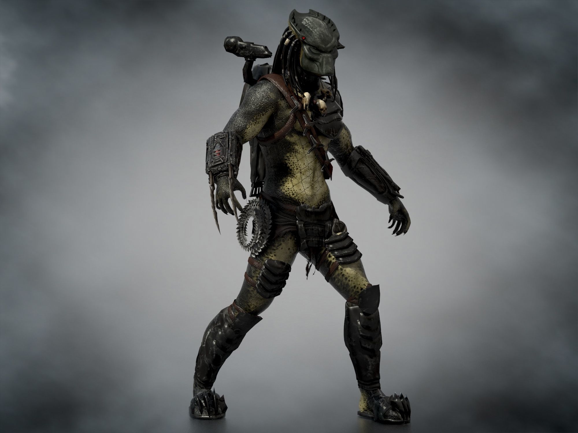 Predator Wolf Low-poly 3D model_4