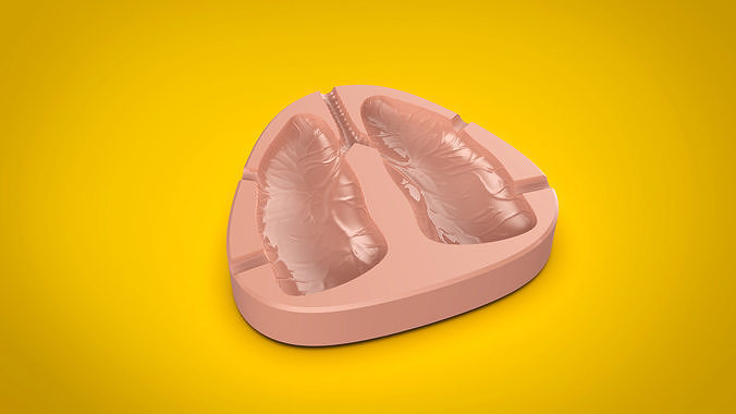 STL - ASHTRAY CONSCIOUS Free 3D print model