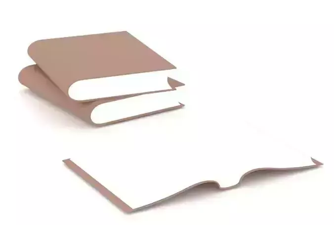 Book Model two books