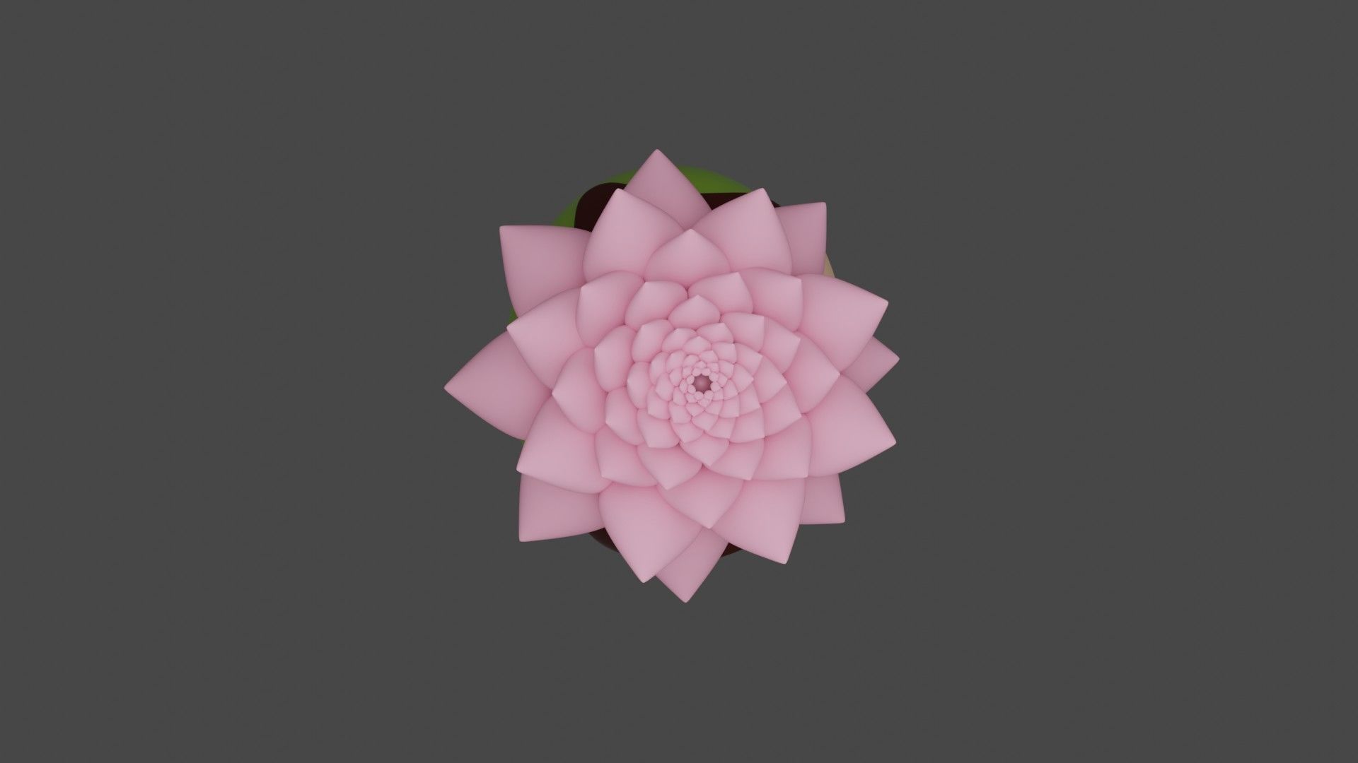 cactus 3D print model_6