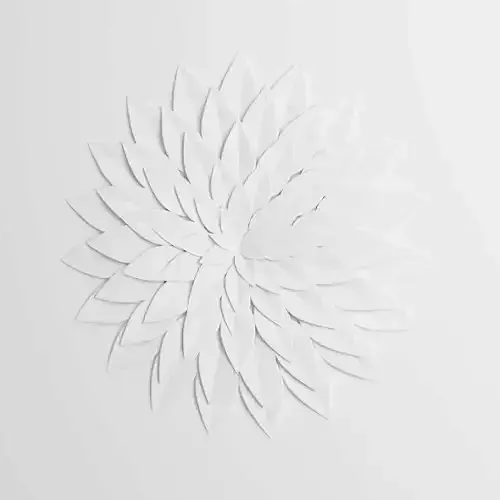 Wall Decoration Flower