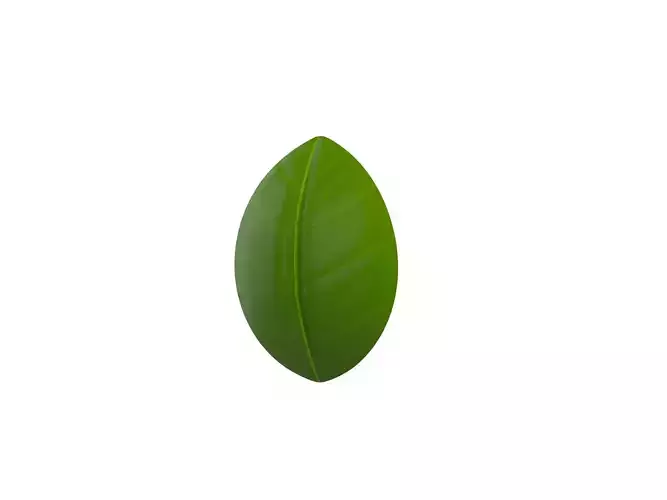 Basil leaf Low-poly 3D model