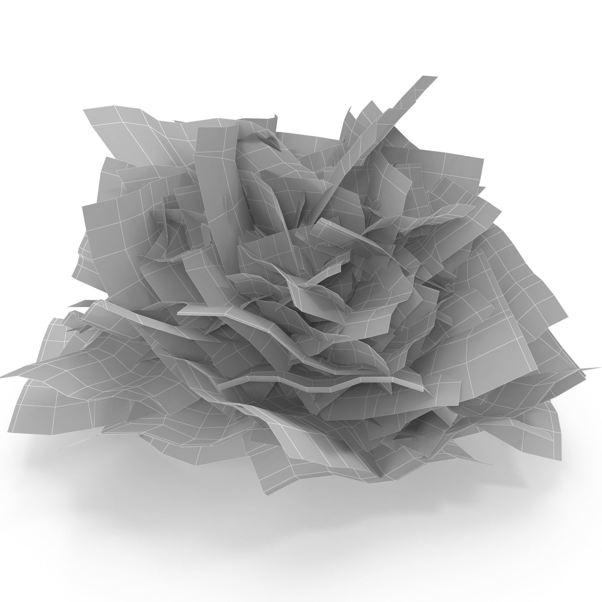 Selaginella V1 3D model_8